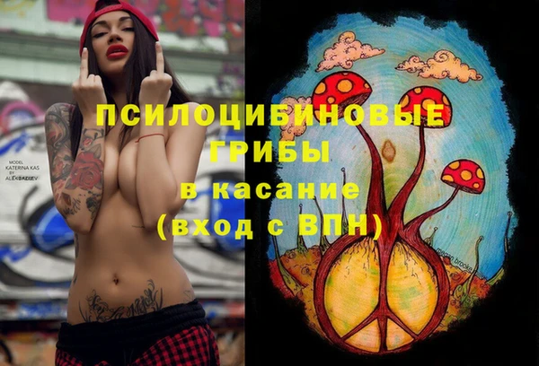 прущая мука Кукмор