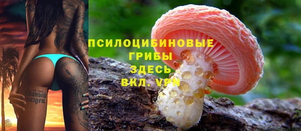 стафф Куйбышев