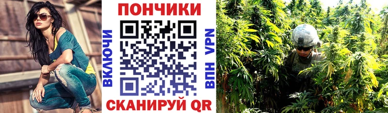 Купить закладки  Белозерск  Бошки Шишки AK-47 
